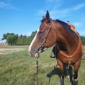 Meet your Posher, Ronnel